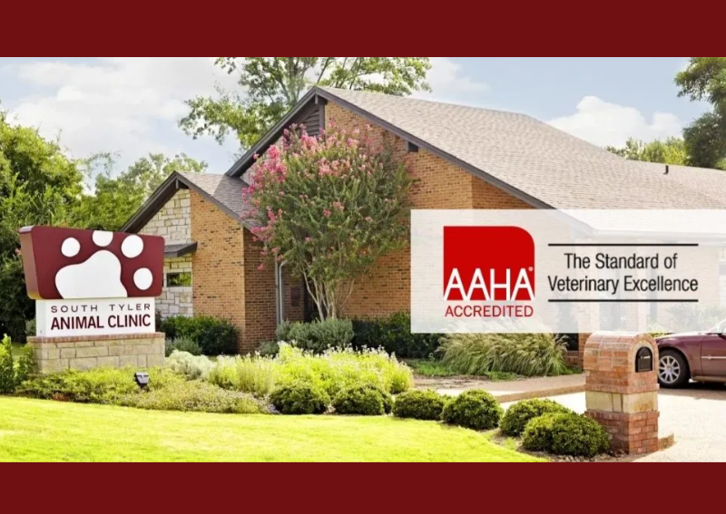 Carousel Slide 4: Our practice is an AAHA Accredited pet hospital!